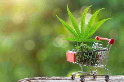1 cannabis-leaves-shoots-placed-shopping-cart