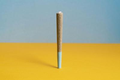 rolling paper cone