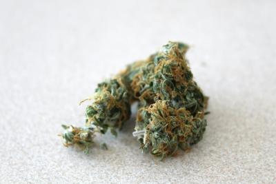 a-punch-of-weed